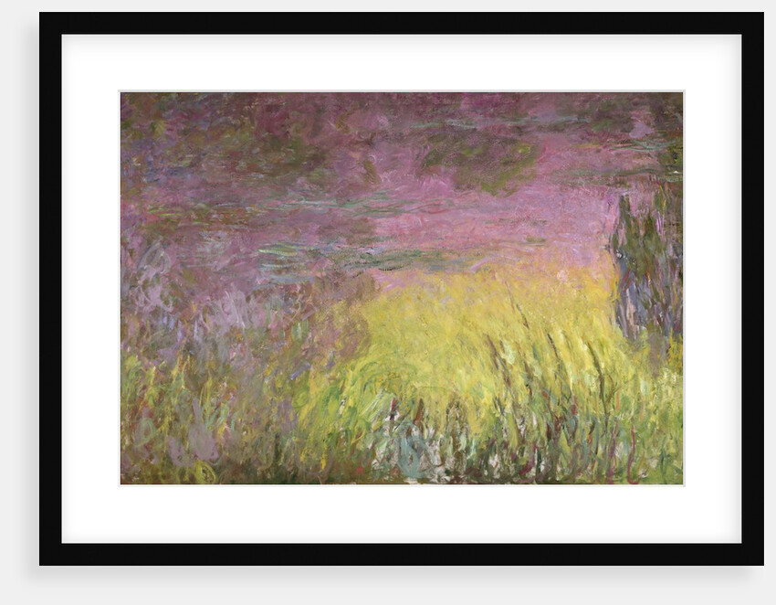 Waterlilies at Sunset, 1915-26 by Claude Monet