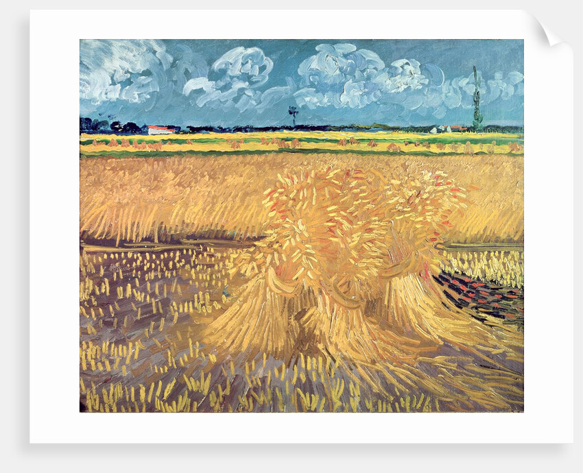 Wheatfield with Sheaves, 1888 by Vincent van Gogh