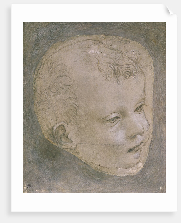 Head of a Child by Leonardo da Vinci