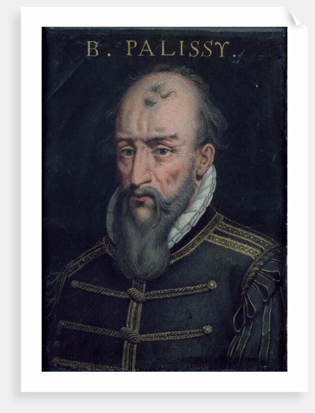 Bernard Palissy by French School