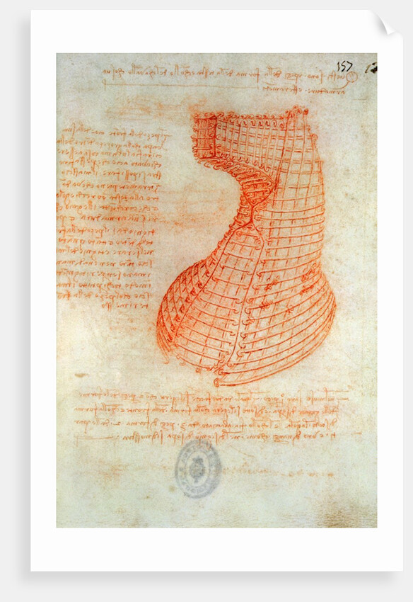 Drawing of the Ironwork Casting Mould for the Head of the Sforza Horse, Fol. 57 by Leonardo da Vinci