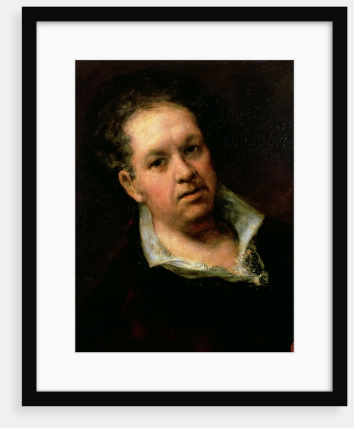 Self Portrait, 1815 by Francisco Jose de Goya y Lucientes