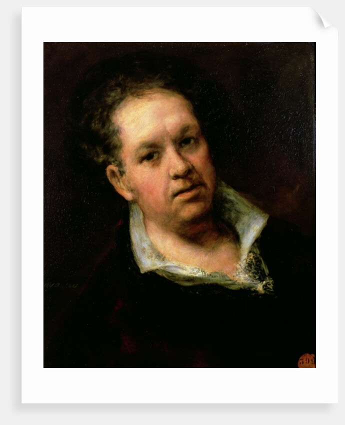 Self Portrait, 1815 by Francisco Jose de Goya y Lucientes