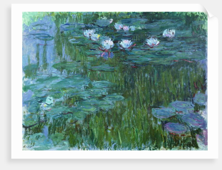 Waterlilies, 1914-17 by Claude Monet