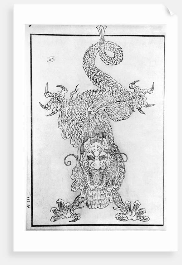 Dragon by School Japanese