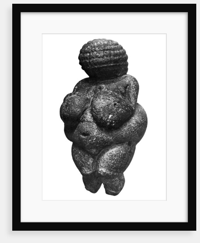 The Venus of Willendorf, side view of female figurine, Gravettian culture, Upper Paleolithic Period, c.30000-18000 BC by Prehistoric Prehistoric