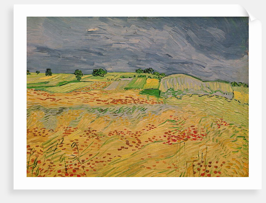 Plain at Auvers, 1890 by Vincent van Gogh