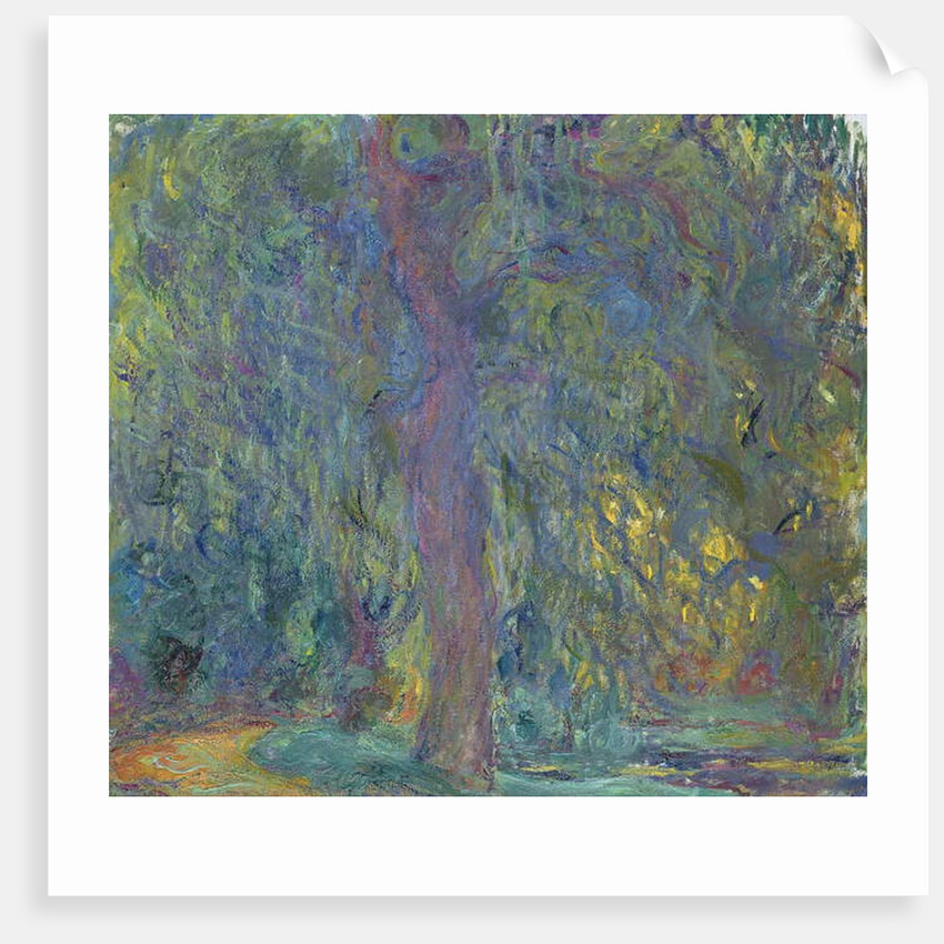 Weeping Willow, 1918-19 by Claude Monet