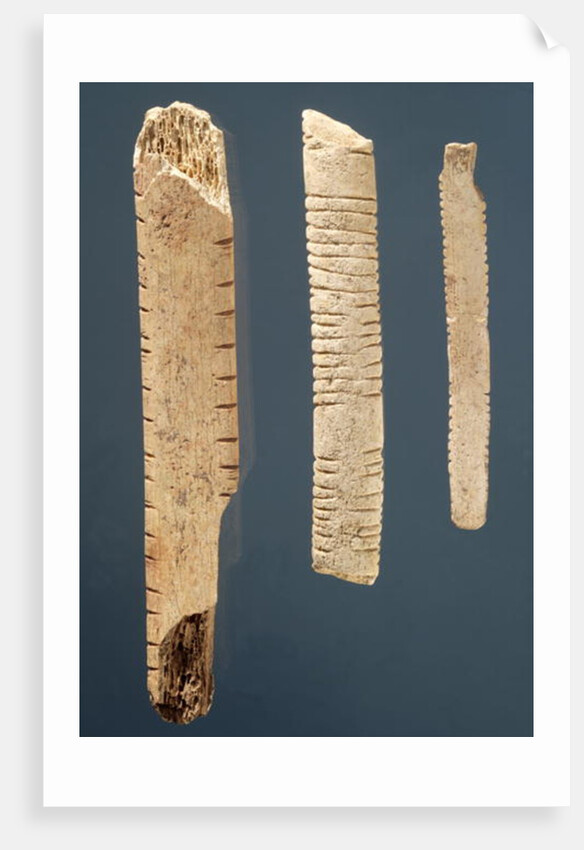 Three decorated bones by Prehistoric Prehistoric