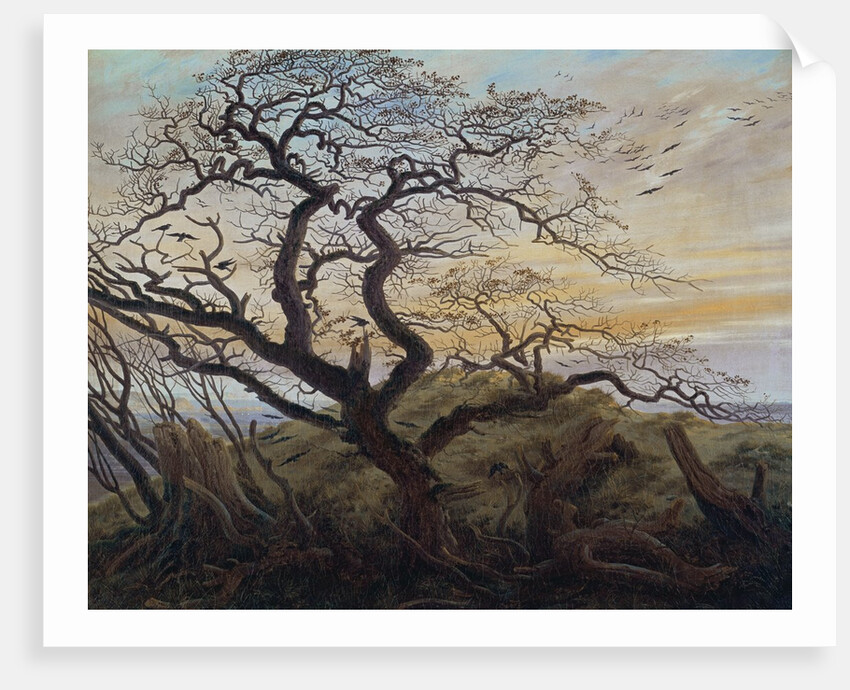 The Tree of Crows, 1822 by Caspar David Friedrich
