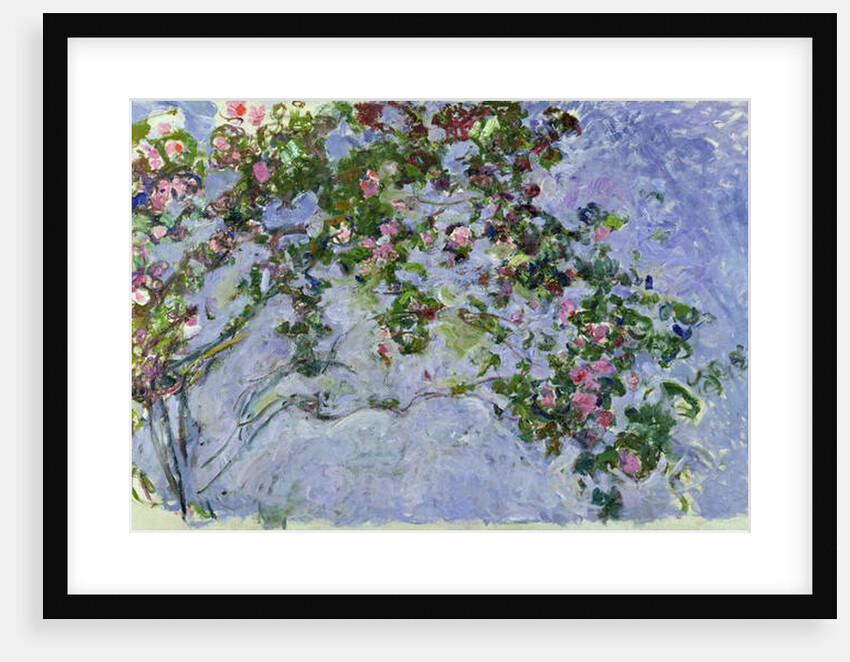 The Roses, 1925-26 by Claude Monet
