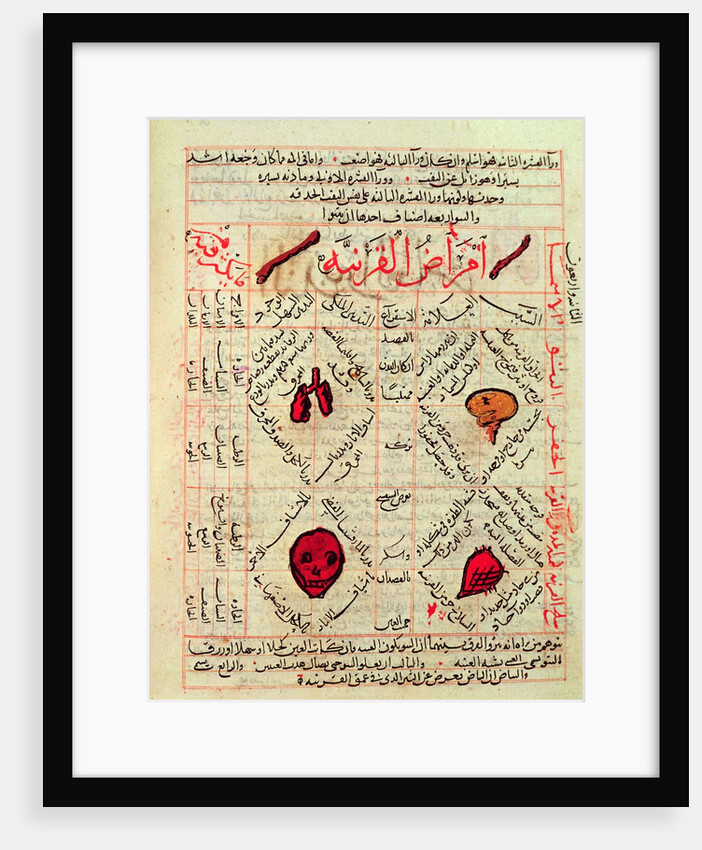 Page from the 'Canon of Medicine' by Avicenna, 14th century by Islamic School