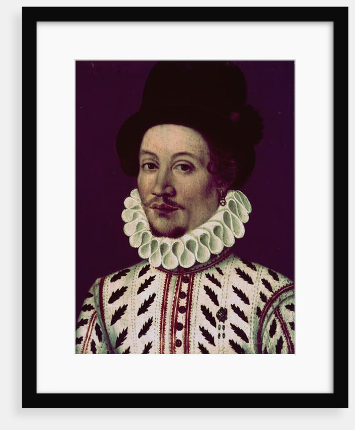 Portrait of a Man, 1575 by French School