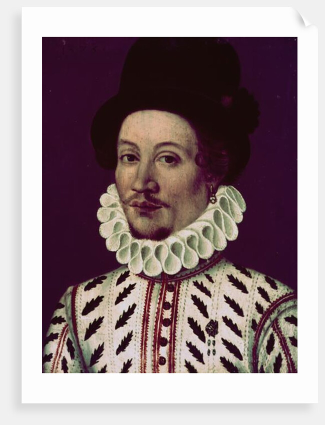 Portrait of a Man, 1575 by French School