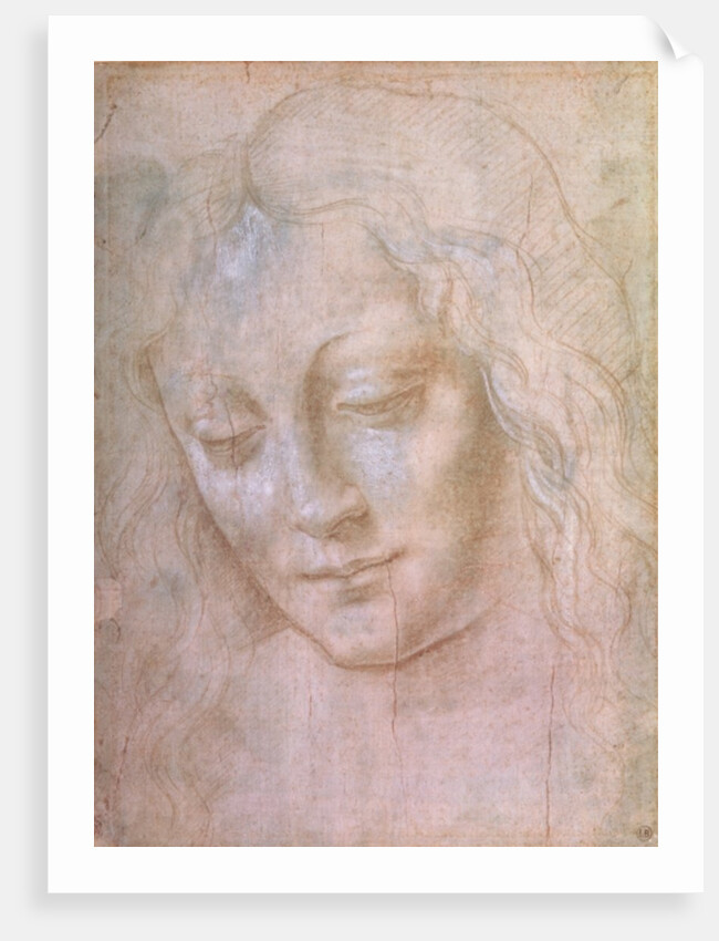 Head of a woman by Leonardo da Vinci