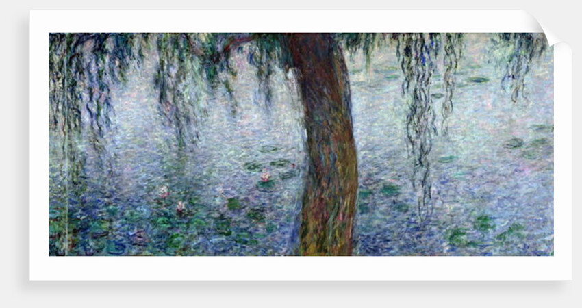 Waterlilies: Morning with Weeping Willows by Claude Monet