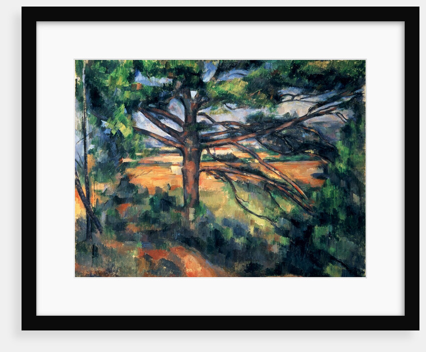 The Large Pine, 1895-97 by Paul Cezanne