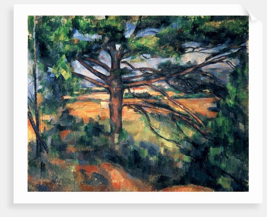 The Large Pine, 1895-97 by Paul Cezanne