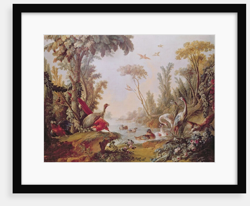 Lake with geese, storks, parrots and herons by Francois Boucher