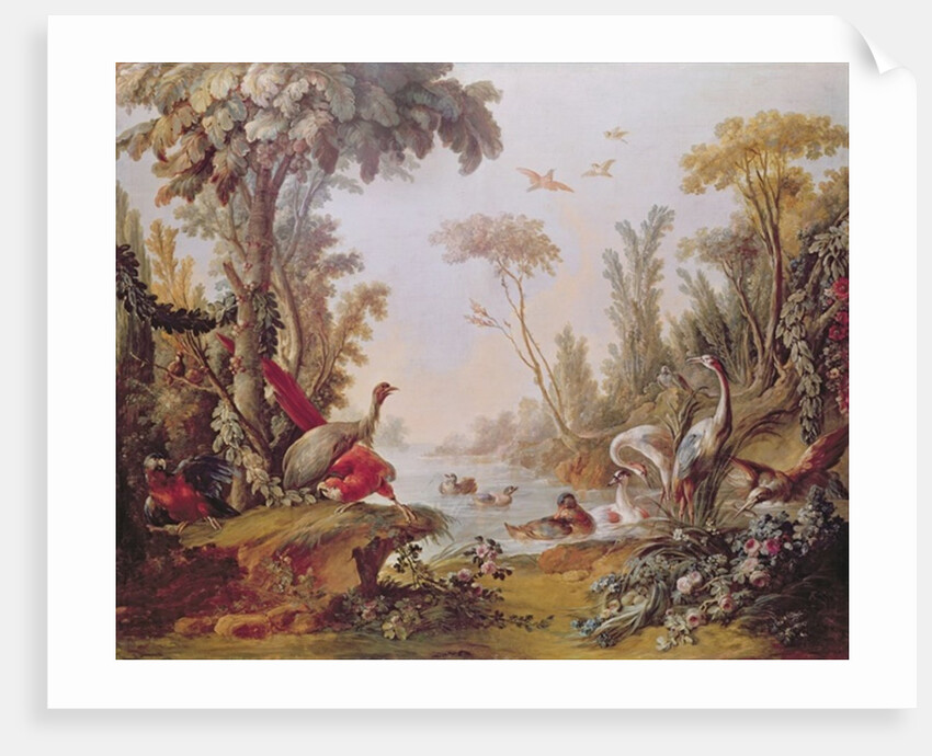 Lake with geese, storks, parrots and herons by Francois Boucher