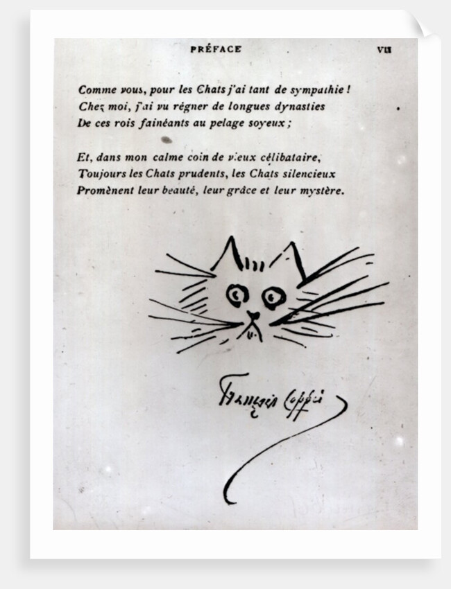Cat's head by Francois Coppee