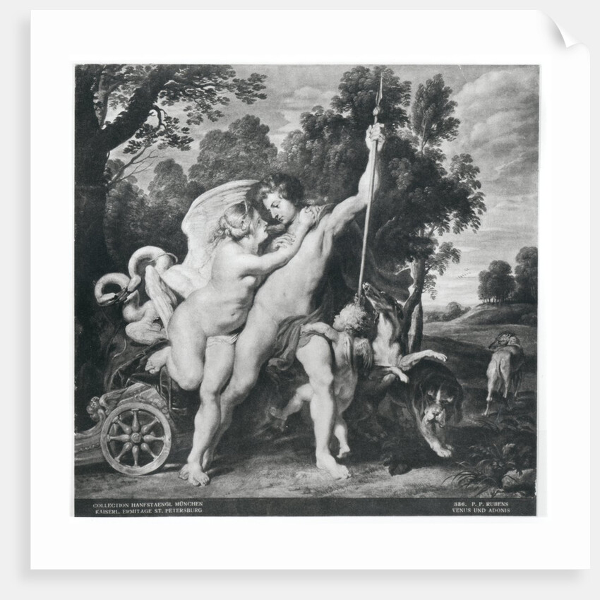 Venus and Adonis by Peter Paul Rubens