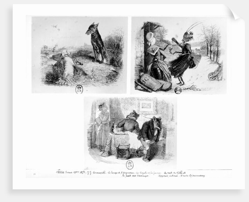 Illustration for 'The Wolf and the Lamb', 'The Cicada and the Ant' and 'The City Rat and the Country Rat' tales by Grandville