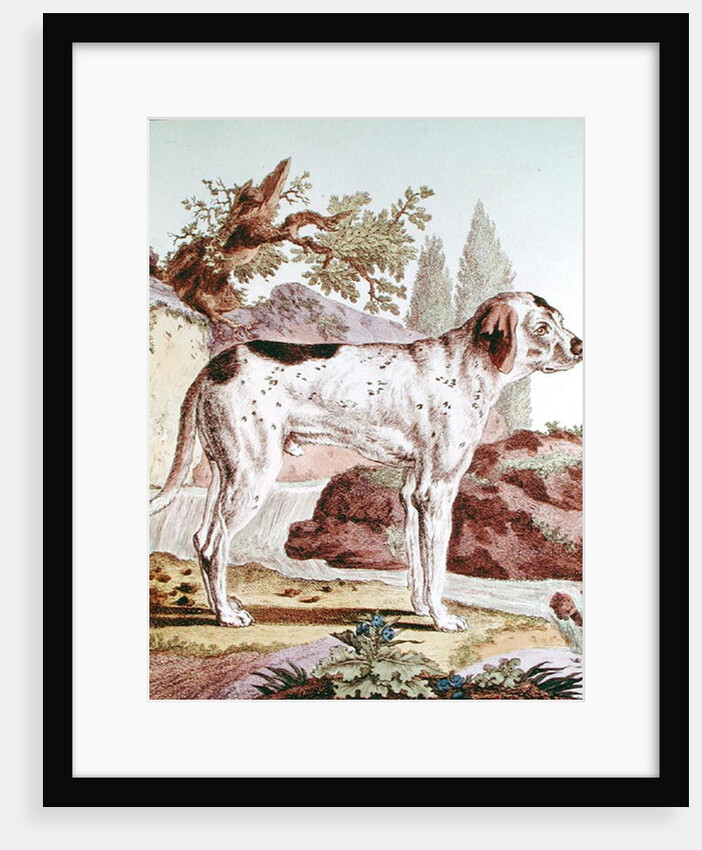 A Pointer by School French