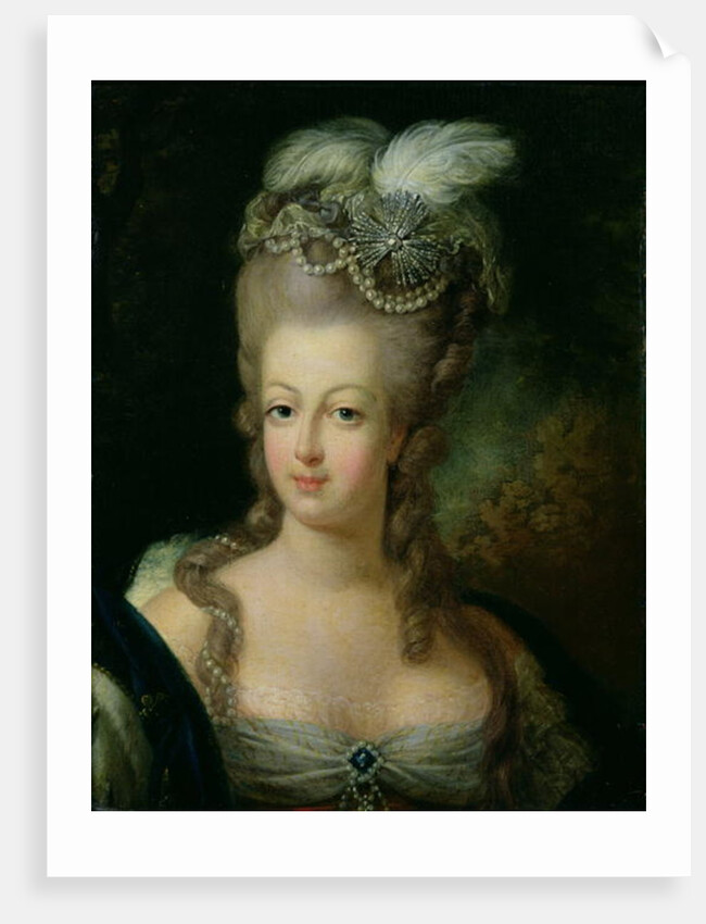 Portrait of Marie-Antoinette de Habsbourg-Lorraine by French School