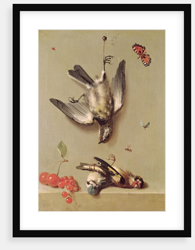 Still Life of Dead Birds and Cherries, 1712 by Jean-Baptiste Oudry