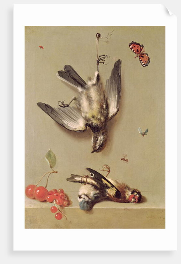 Still Life of Dead Birds and Cherries, 1712 by Jean-Baptiste Oudry