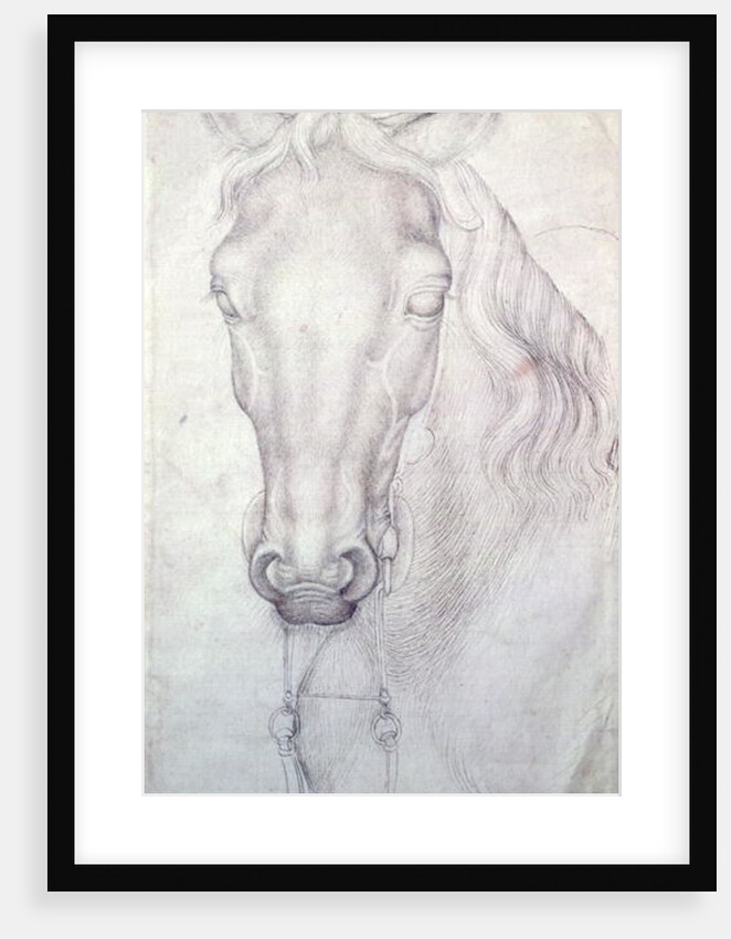 Head of a Horse by Antonio Pisanello