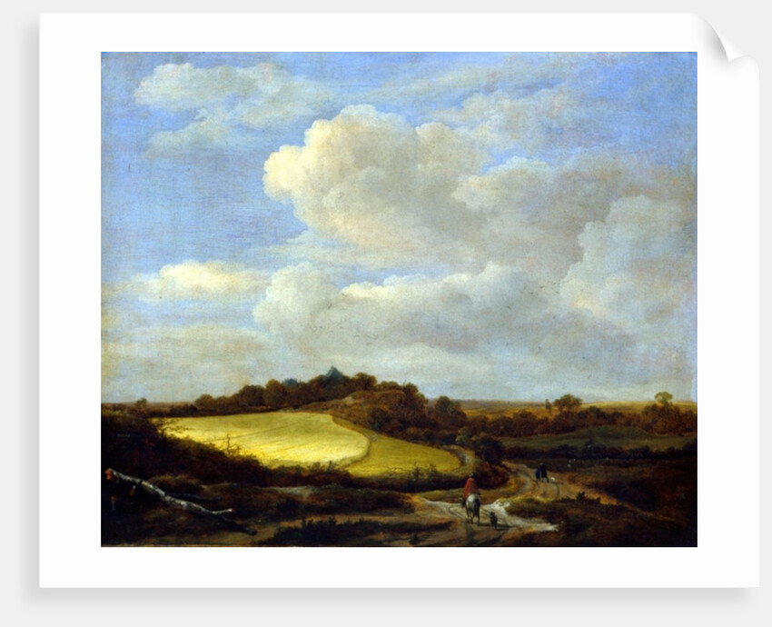 The Wheatfield by Jacob Isaaksz. or Isaacksz. van Ruisdael