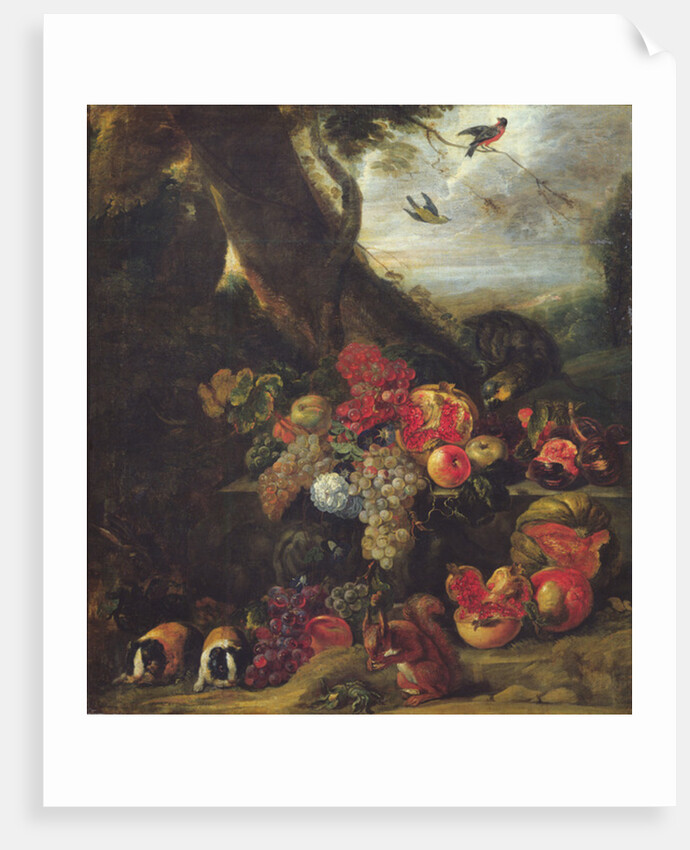 Fruit and Animals by Abraham Brueghel
