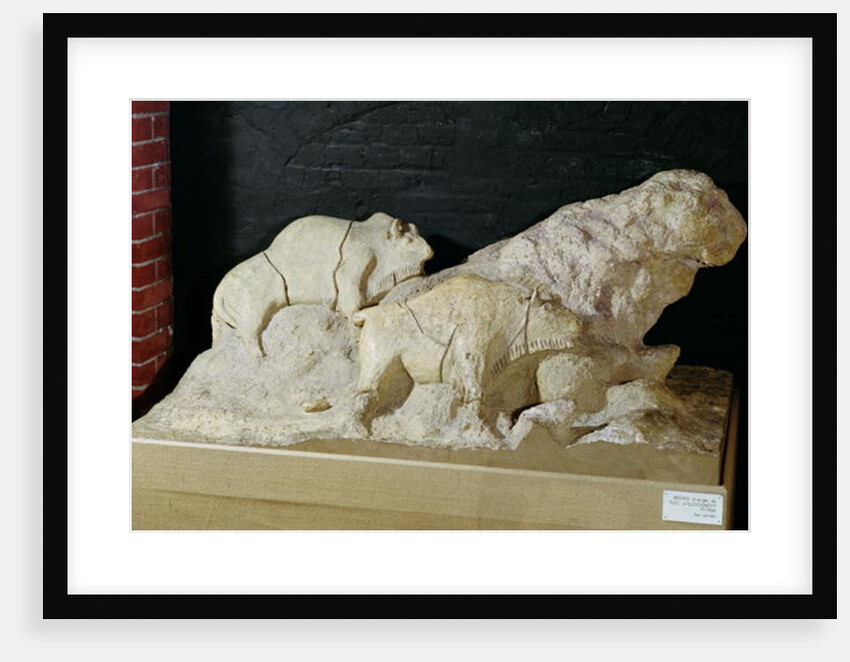 Copy of a sculpture of bisons, from Le Tuc-d'Audoubert, Magdalenian by School French