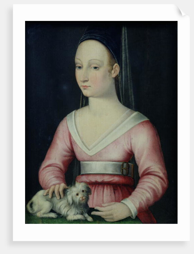 Portrait of Agnes Sorel by French School