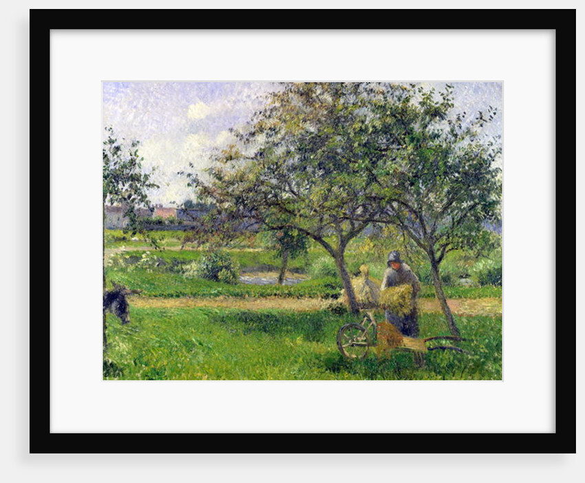 The Wheelbarrow, Orchard, c.1881 by Camille Pissarro