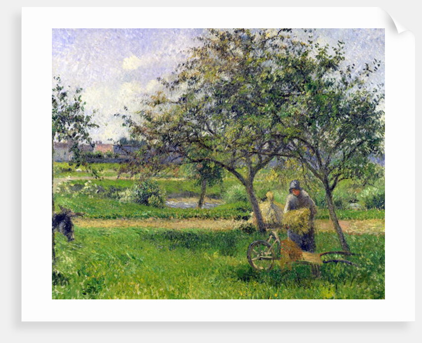 The Wheelbarrow, Orchard, c.1881 by Camille Pissarro