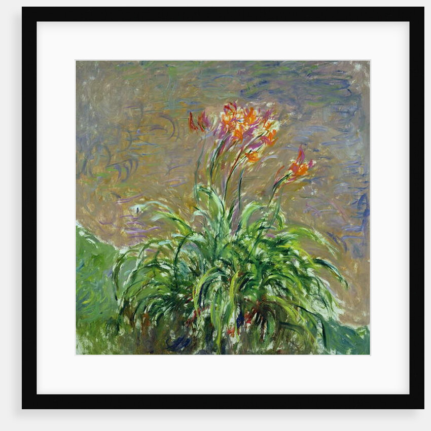 Hemerocallis, 1914-17 by Claude Monet
