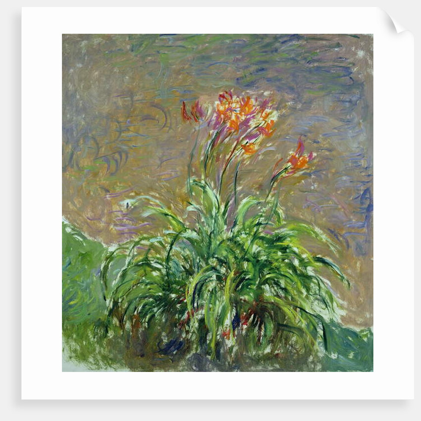 Hemerocallis, 1914-17 by Claude Monet
