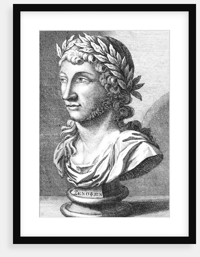 Bust of Xenophanes by French School