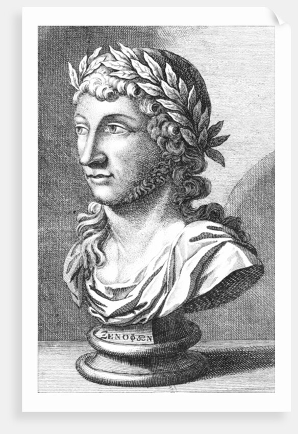 Bust of Xenophanes by French School