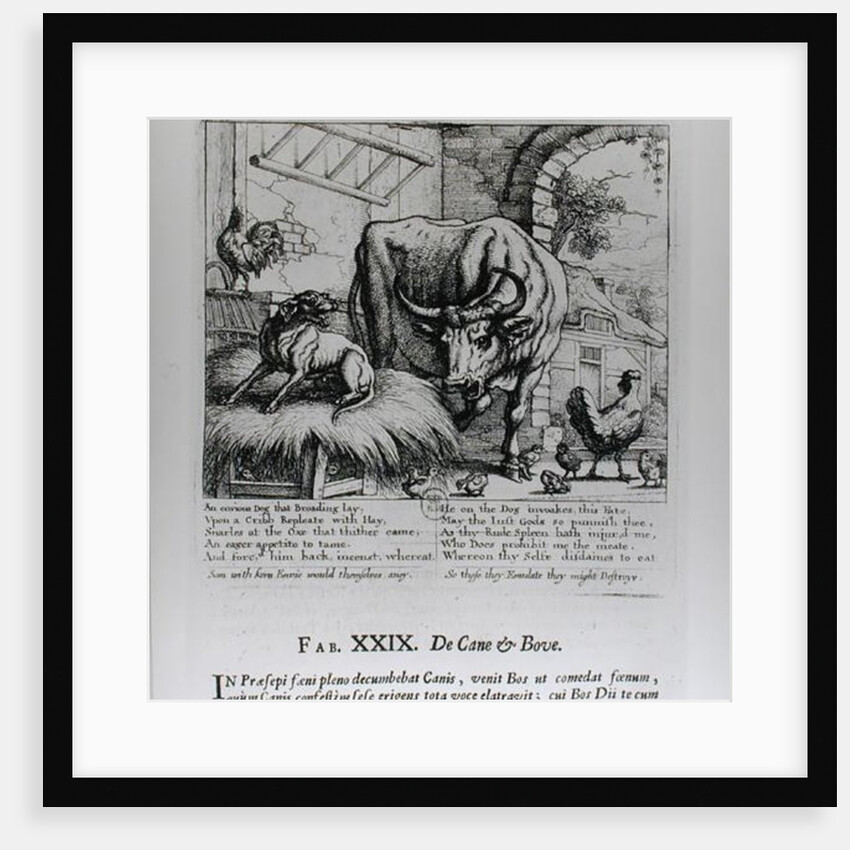 Illustration for 'The Dog and the Ox' by Francis Barlow