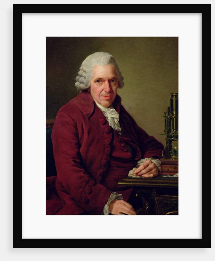 Portrait of Louis Jean Marie Daubenton 1791 by Alexander Roslin