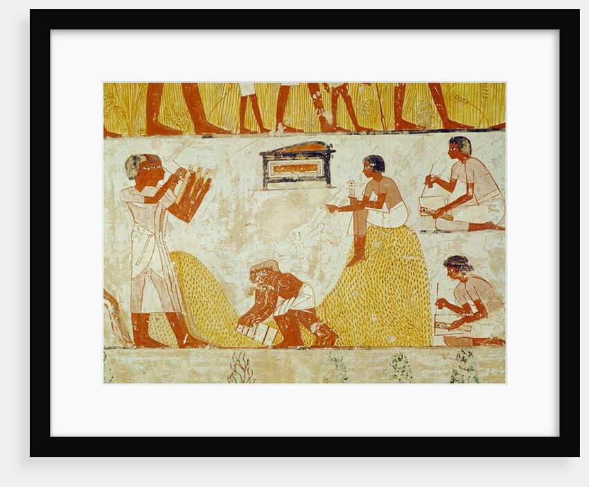 Recording the harvest by Egyptian 18th Dynasty