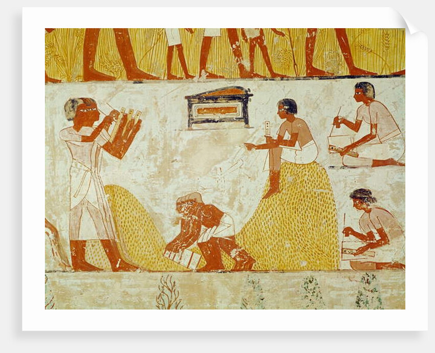 Recording the harvest by Egyptian 18th Dynasty