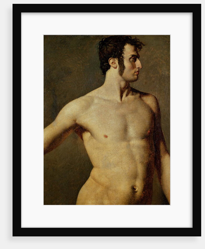 Male Torso by Jean Auguste Dominique Ingres