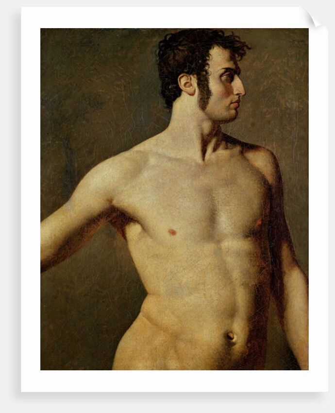 Male Torso by Jean Auguste Dominique Ingres