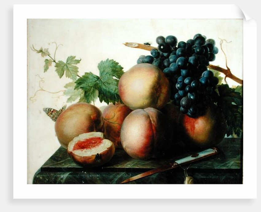 Still Life with Peaches and Grapes on Marble by Jan Frans van Dael