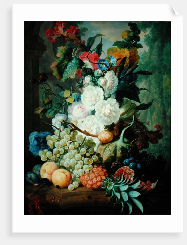 Fruits and Flowers by Jan van Os